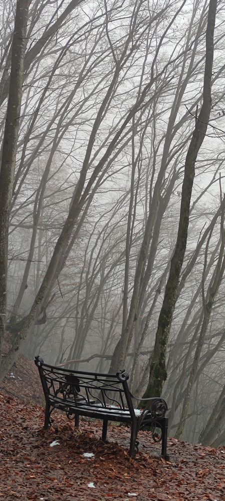 Photograph by Елена Семенова