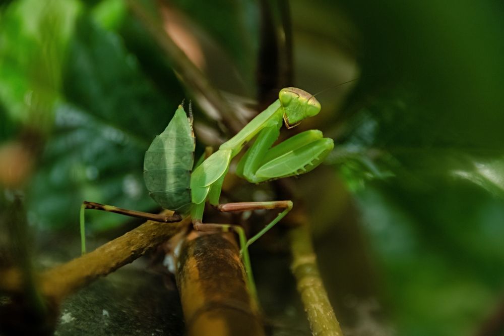 Photograph by lev ostanin