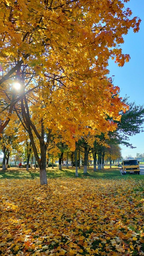 Фотография автора Юлия Денисенко