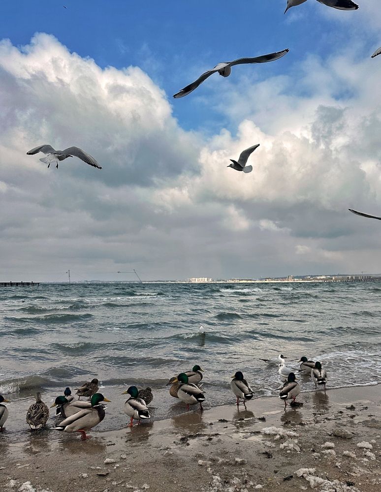 Photograph by Алексей Поляков