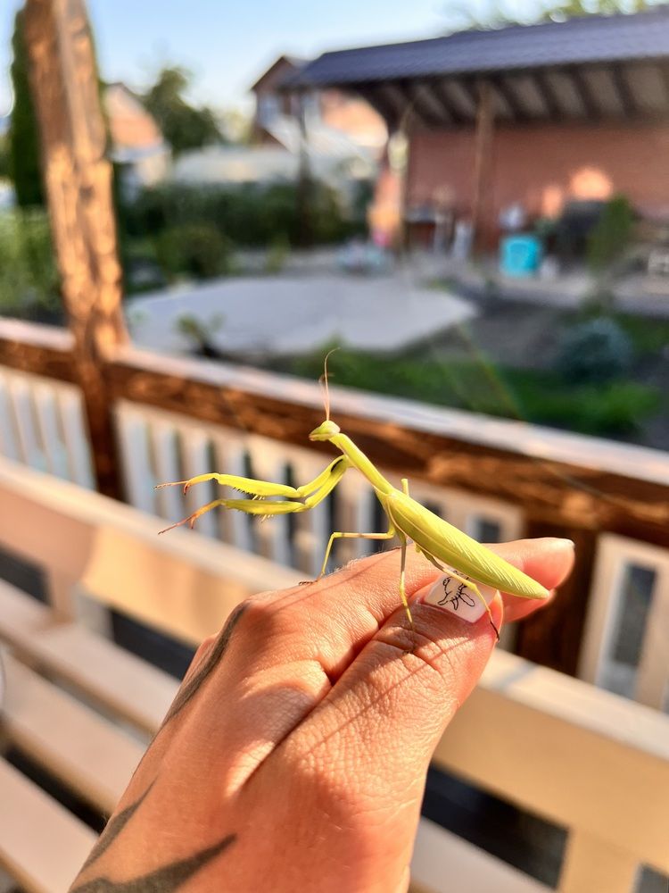 Photograph by Алина Волгина