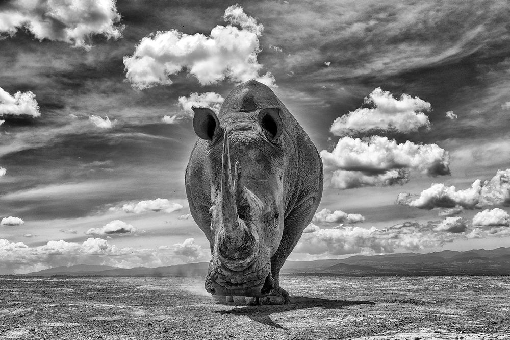 Photograph by Karthick Sridharan