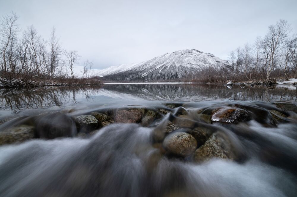 Фотография автора Сариева Ольга