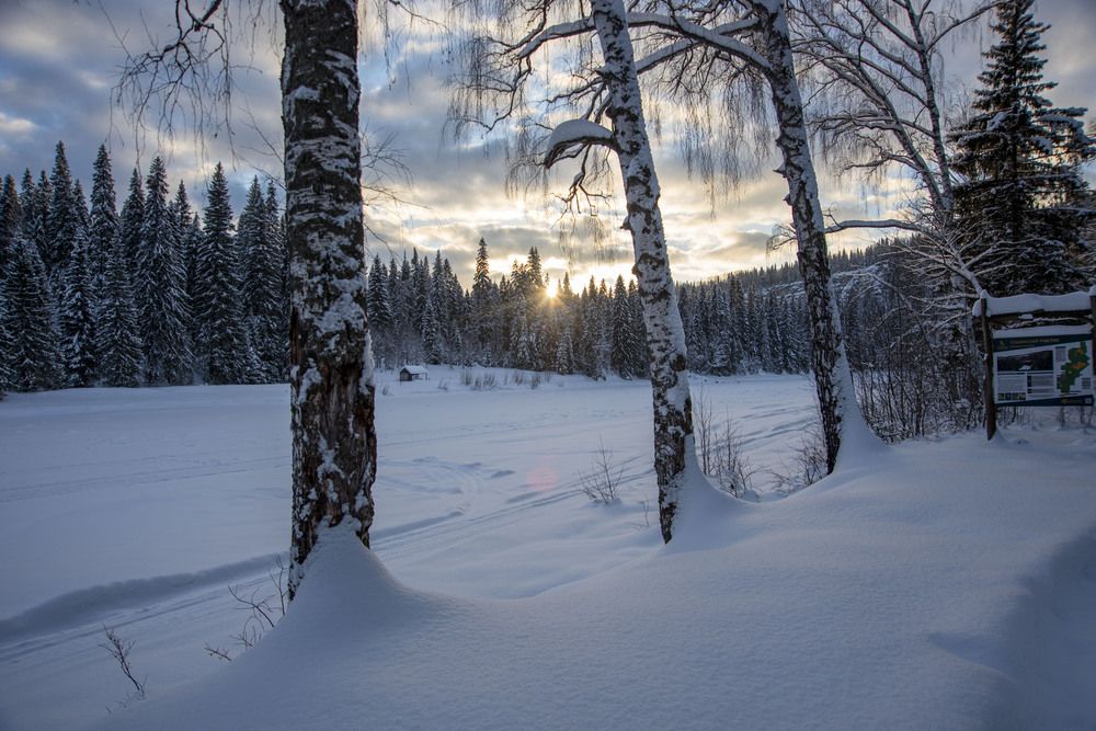 Фотография автора Злобин Сергей