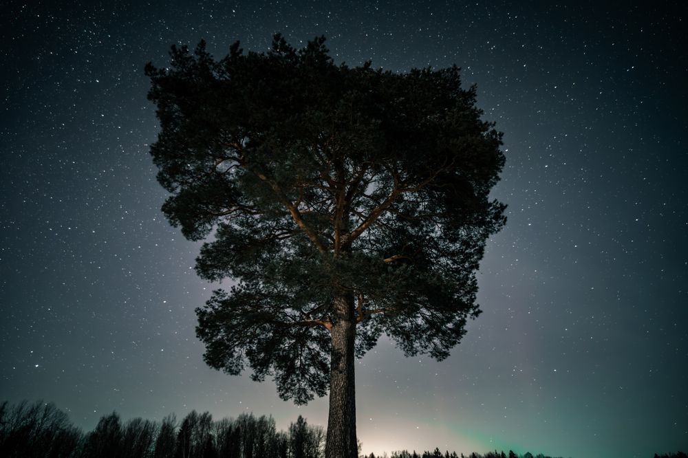 Photograph by Vitaly Zubkov