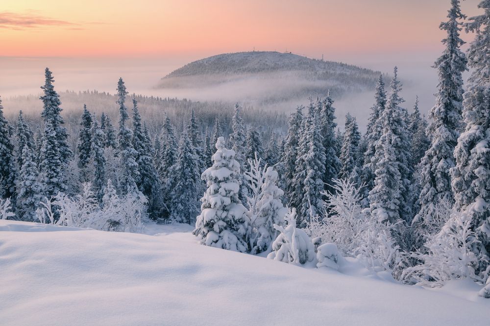 Photograph by Андрей Белавин