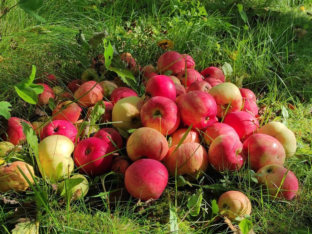 Photograph by Helen Ka