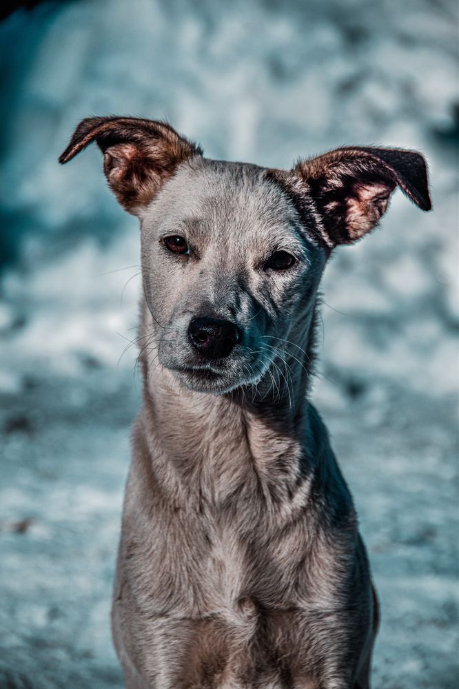 Фотография автора Кристина Шефер