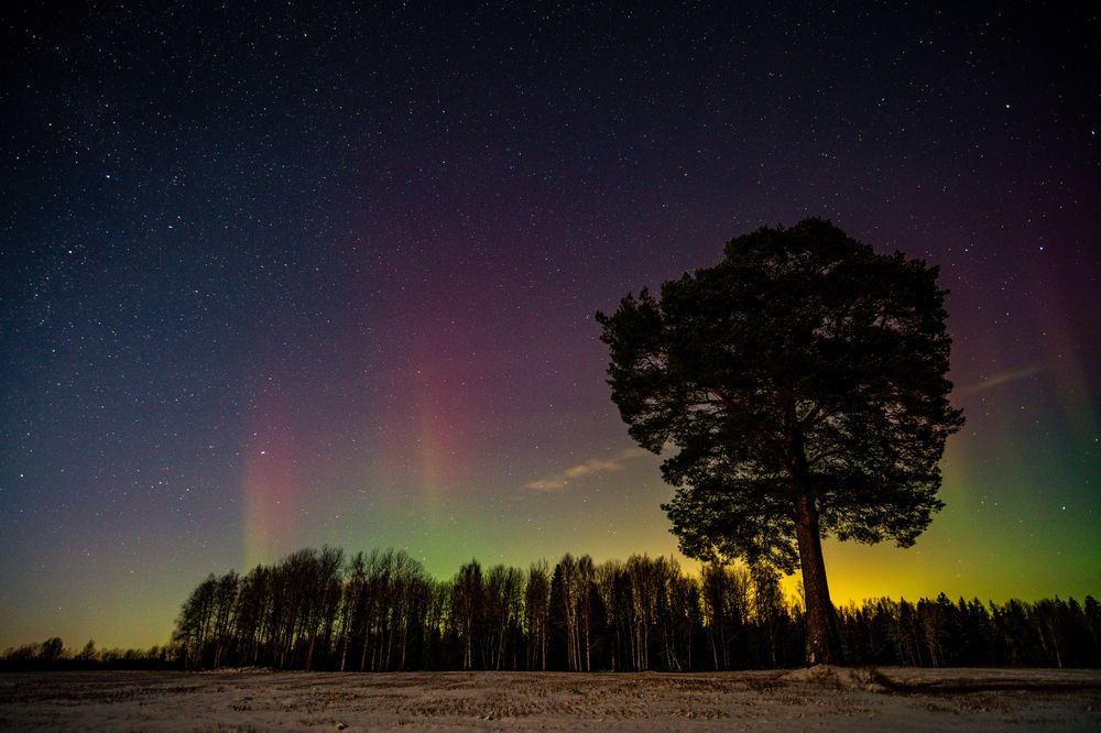 Photograph by Vitaly Zubkov