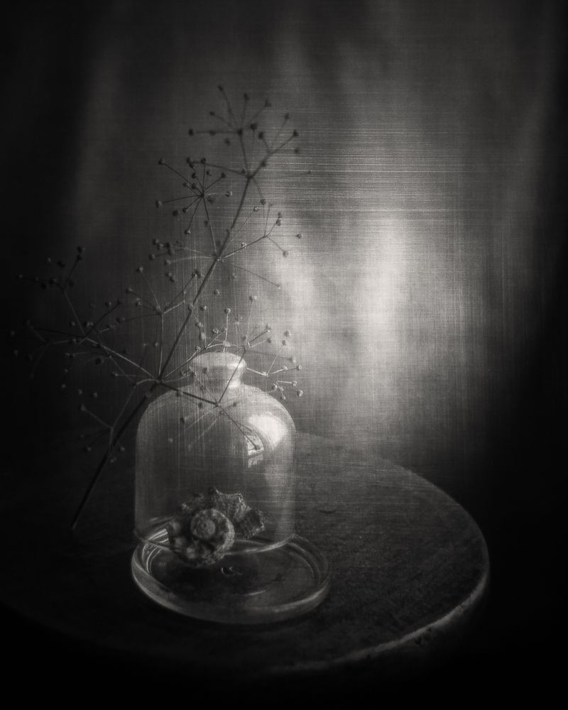 Photograph by Татьяна Ломоносова