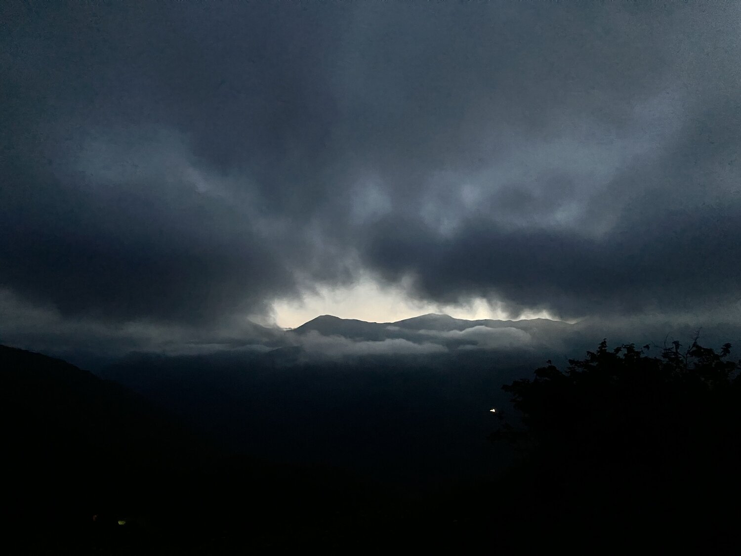 Photo #11977258
