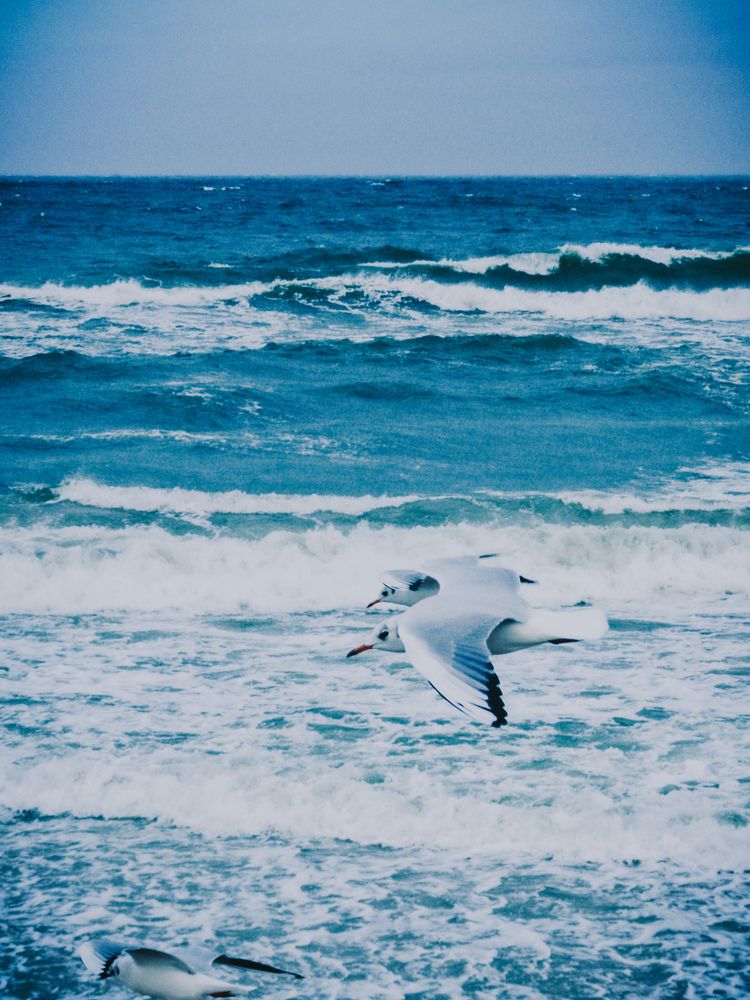 Photograph by Tanya Nikorovskaya