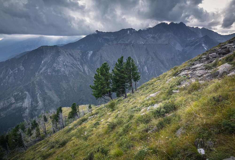 Photograph by Портных Дмитрий