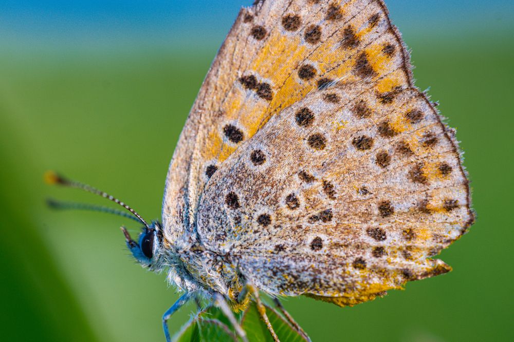 Photograph by Vitaly Zubkov