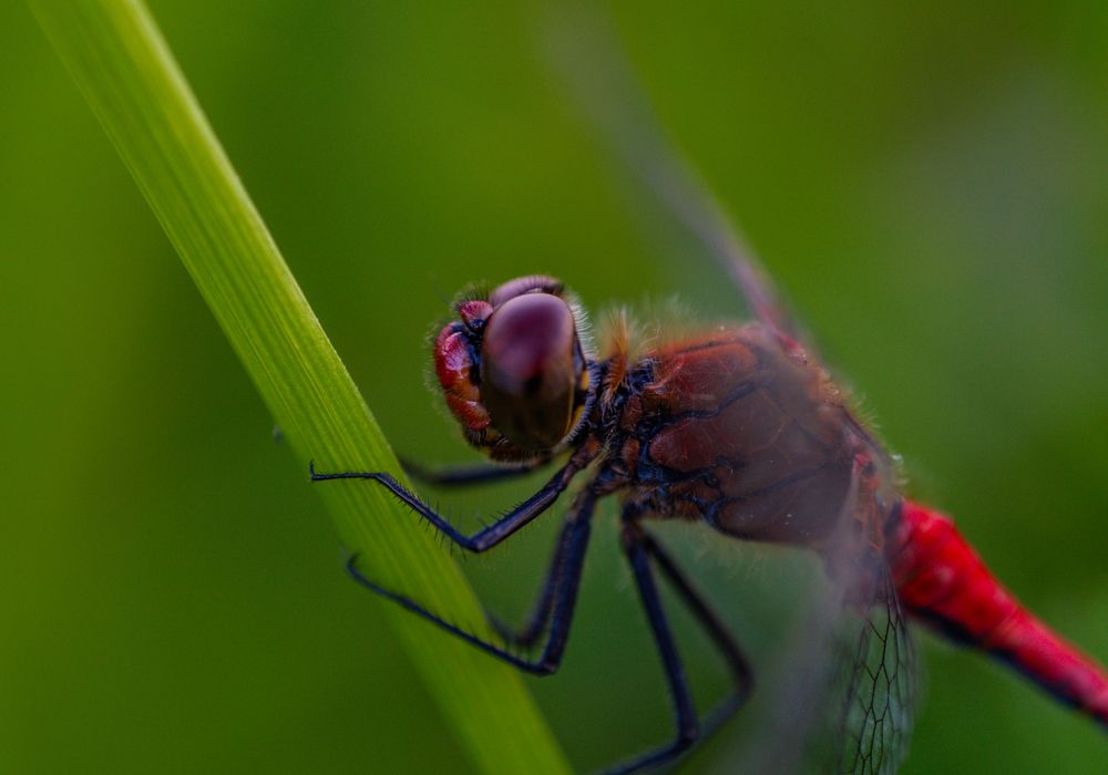 Photograph by Vitaly Zubkov