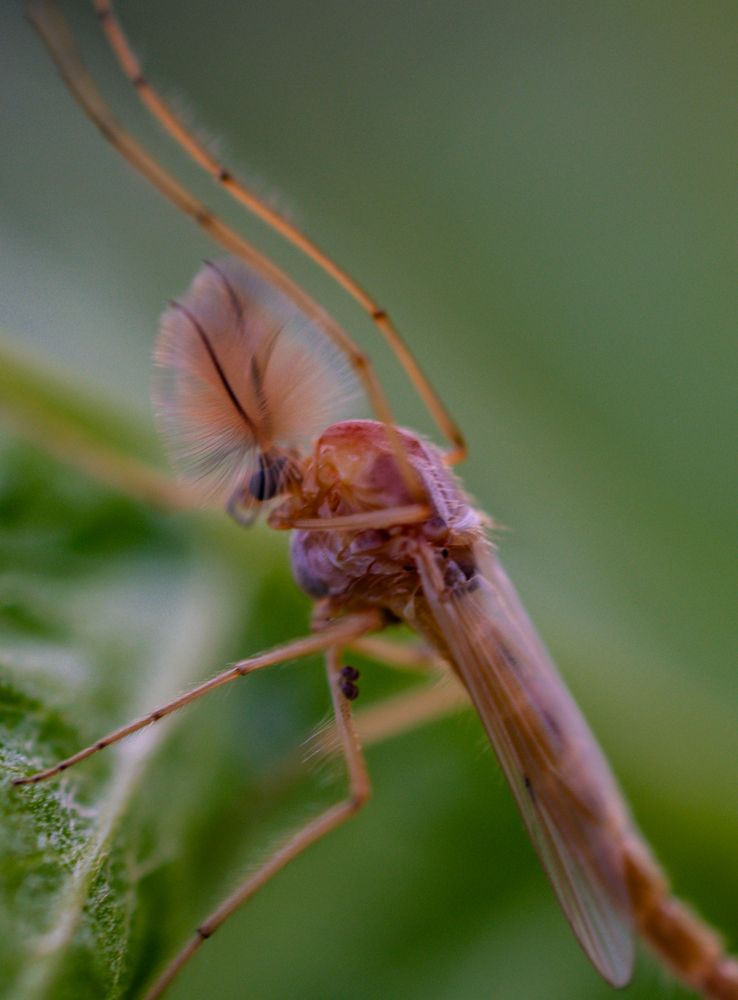 Photograph by Vitaly Zubkov