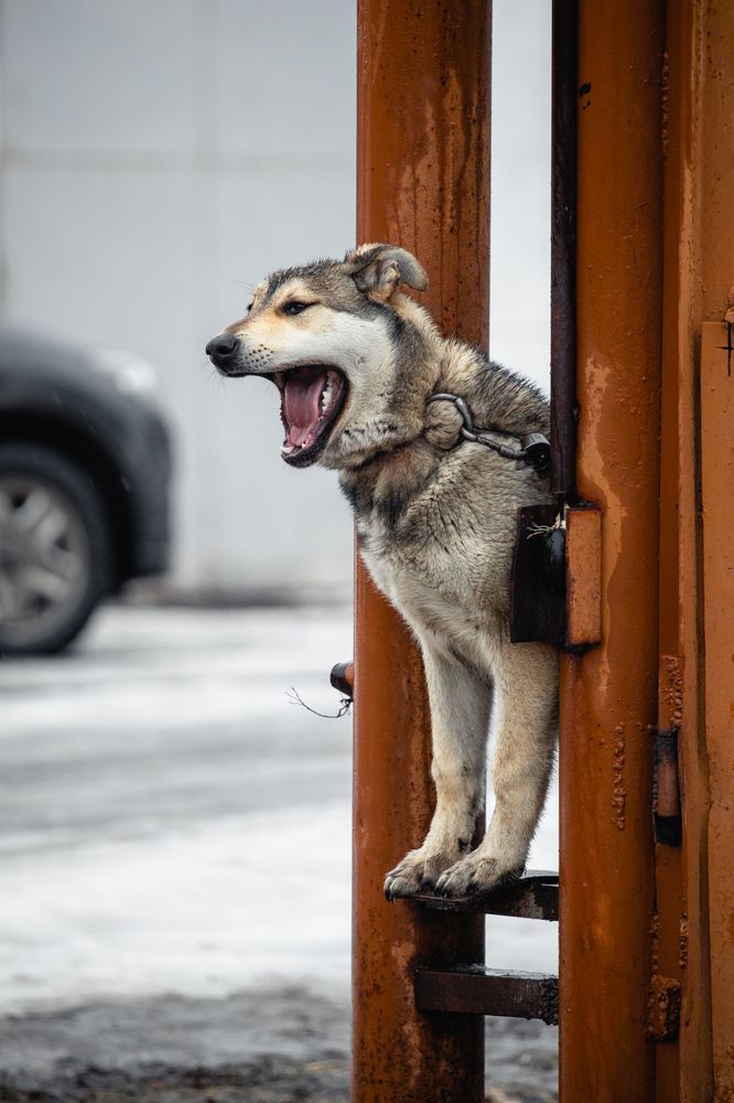 Photograph by Сергей Булышев