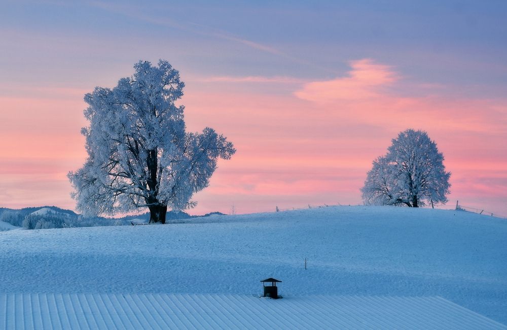 Photograph by Wymann Elena