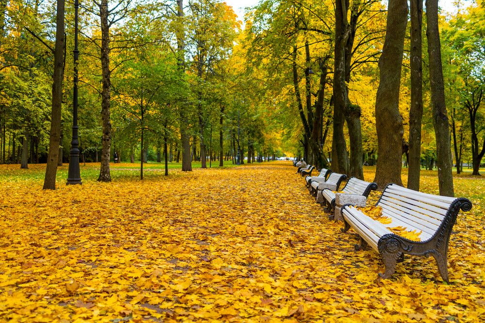 Фотография автора ВЯЧЕСЛАВ