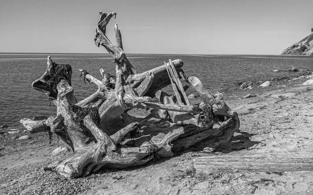 Photograph by Александр Довганюк