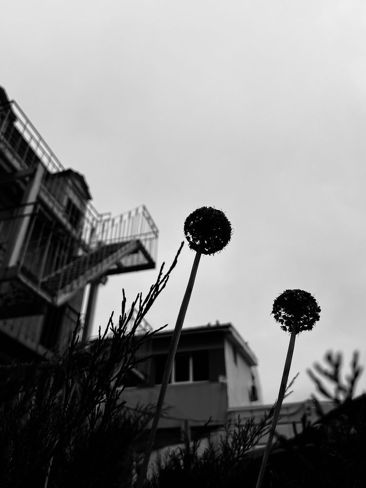 Photograph by Алина Волгина