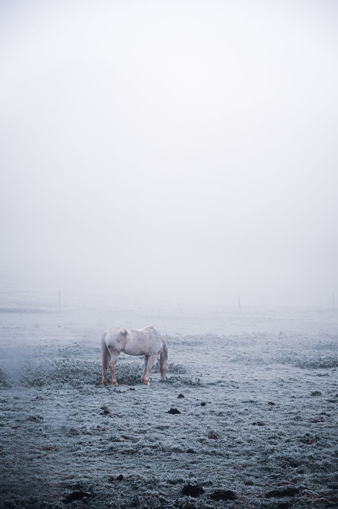 Photograph by Боян Андреев