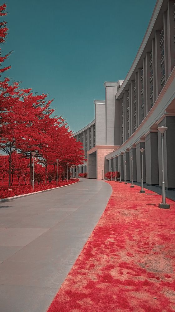 Photograph by John britto