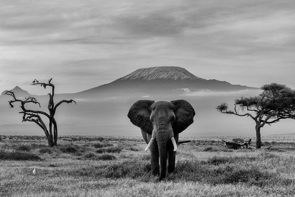 Photograph by Karthick Sridharan