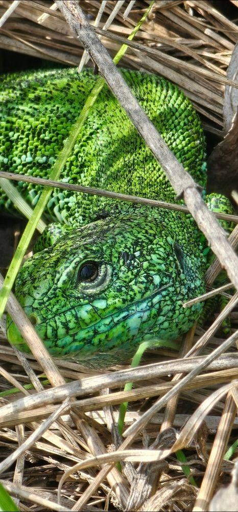 Photograph by Елизавета Лемешко