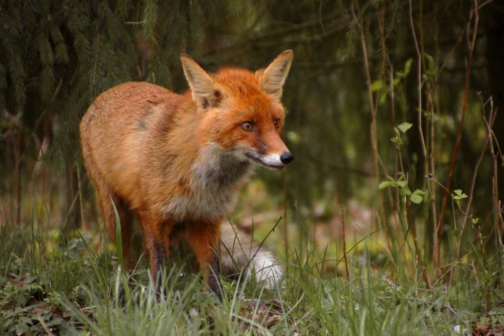 Photograph by Владимир Петрукович