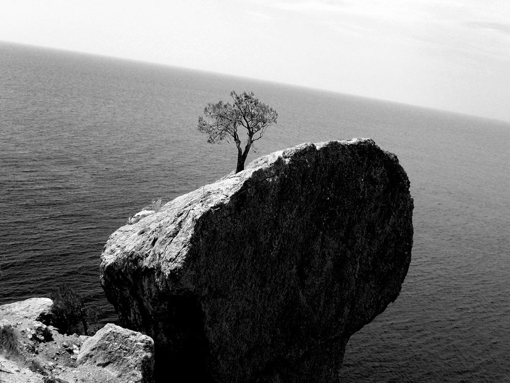 Photograph by Екатерина