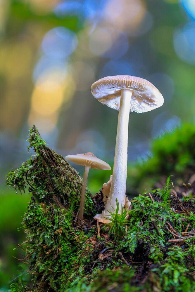 Фотография автора ВЯЧЕСЛАВ