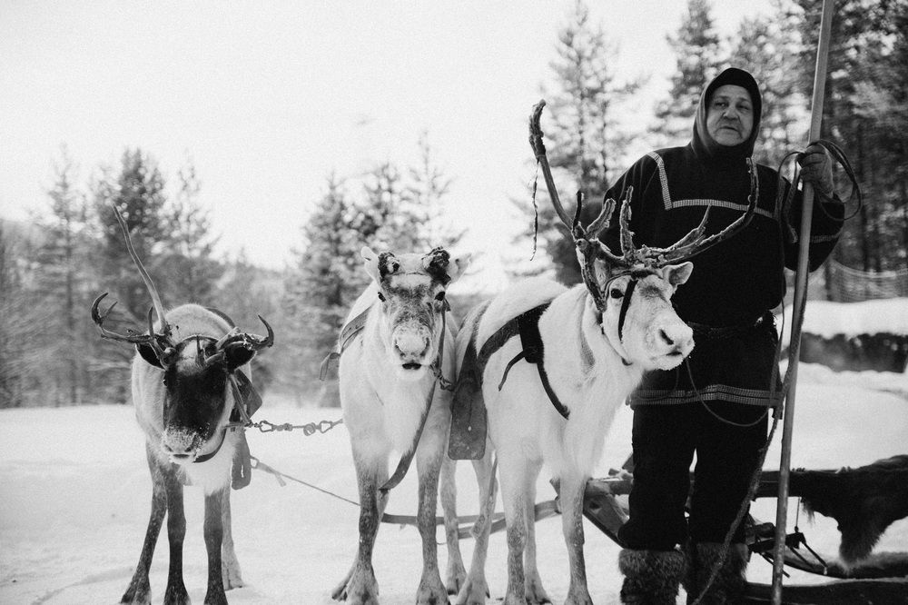 Photograph by Мария Корвин-Кучинская