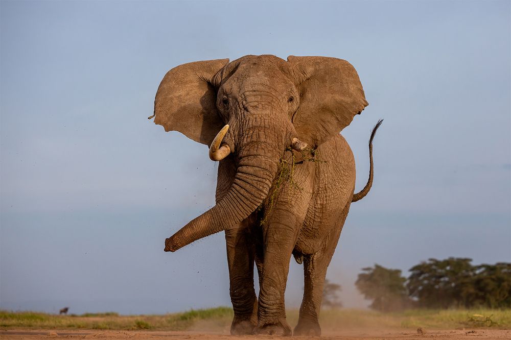 Photograph by Karthick Sridharan