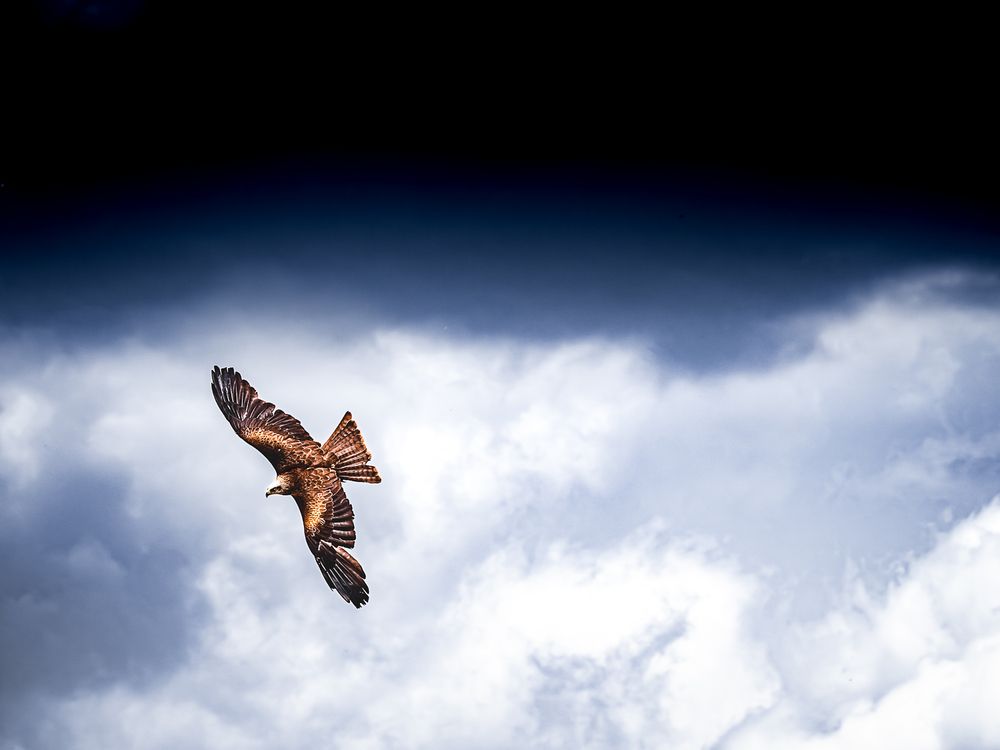 Photograph by Mélina Delbert