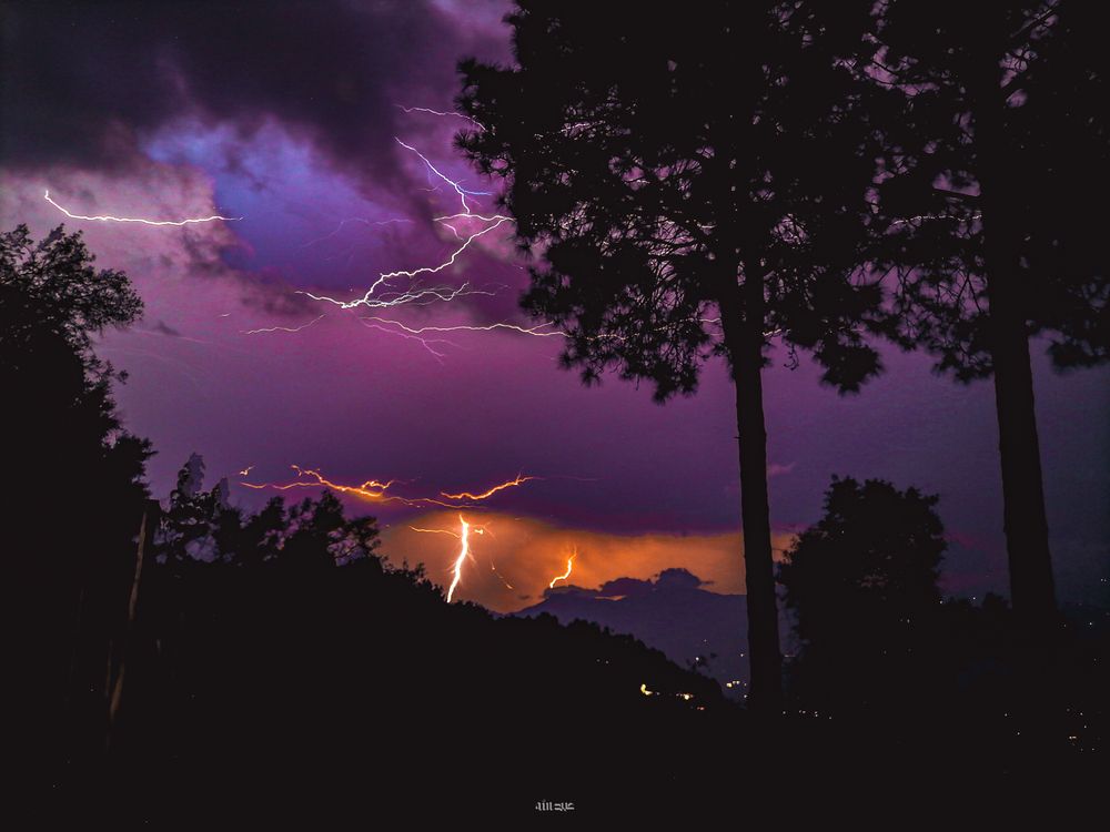 Thunder in the jungle