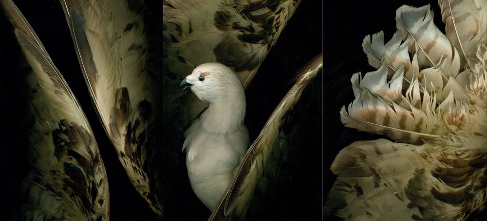 Рождение. Угасание. Возрождение