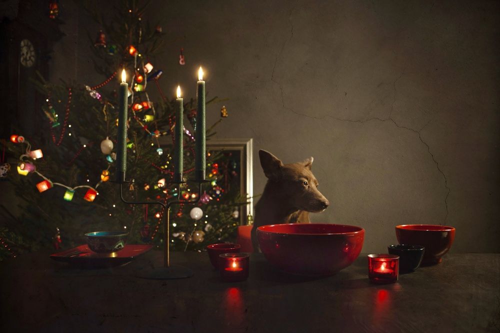 Фотография автора Galina Sa