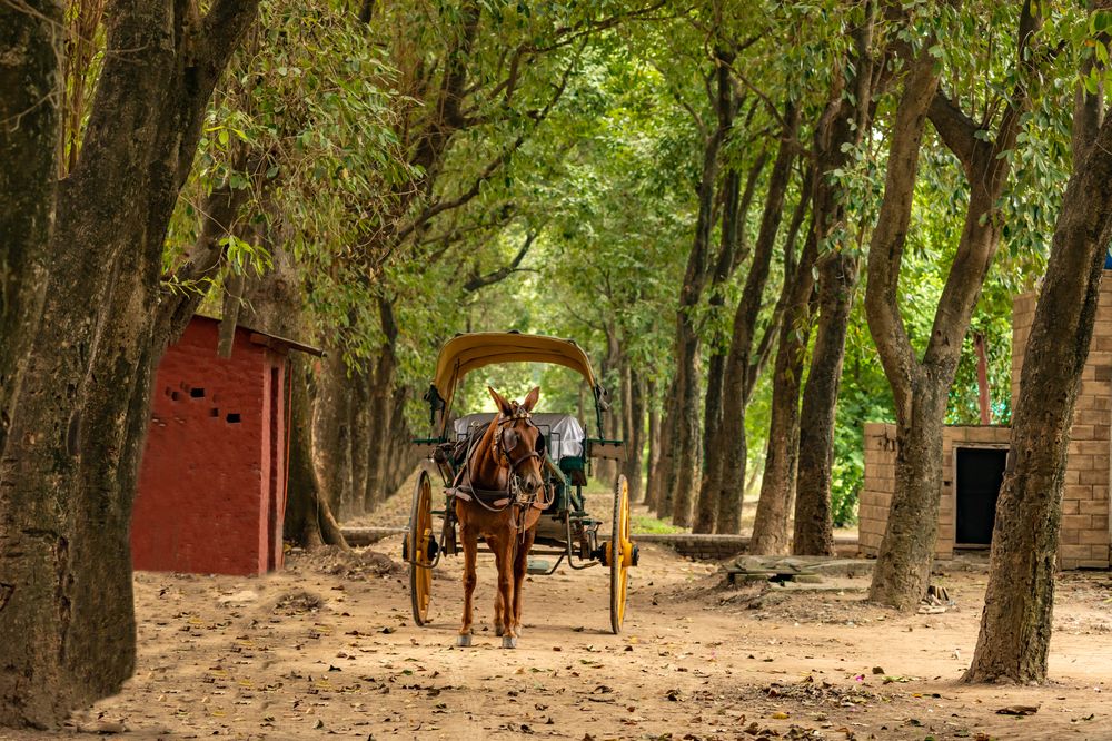 Photograph by Farrukh Sidddiqi