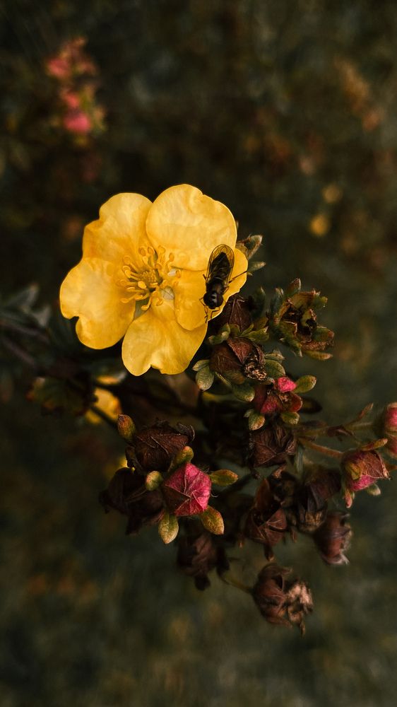 Photograph by Оксана Сологуб