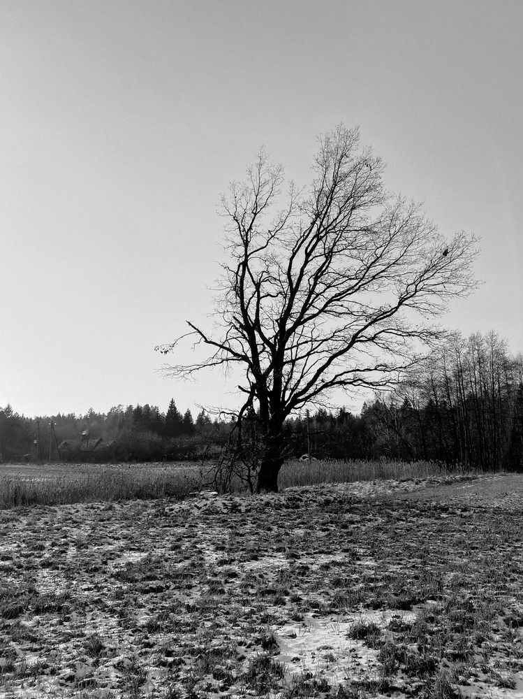 Photograph by Оксана Сологуб