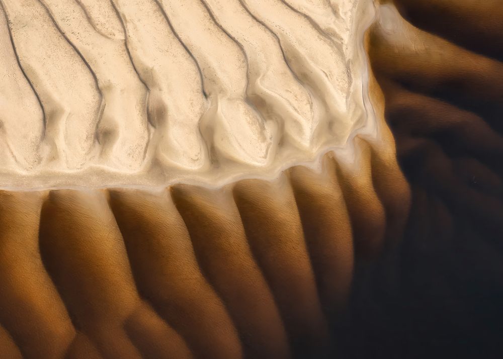 Photograph by Михаил Харитонычев