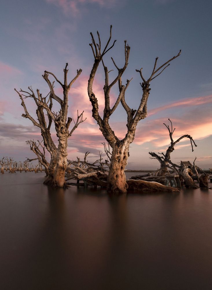 Photograph by paula baum