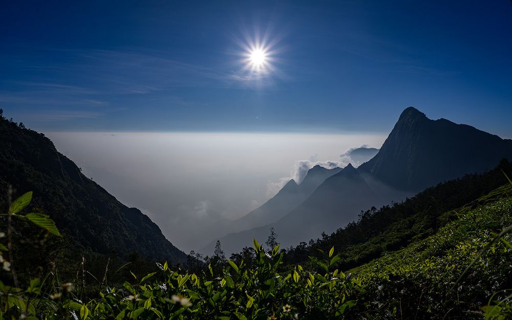 Фотография автора Sreeraj M R