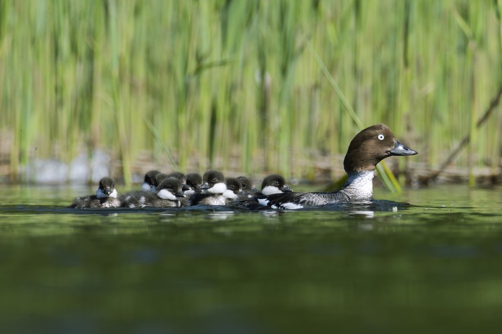 Photograph by Федорако Дмитрий