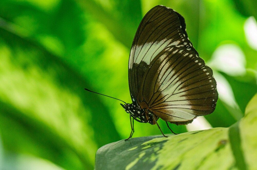 Photograph by irfan demirel