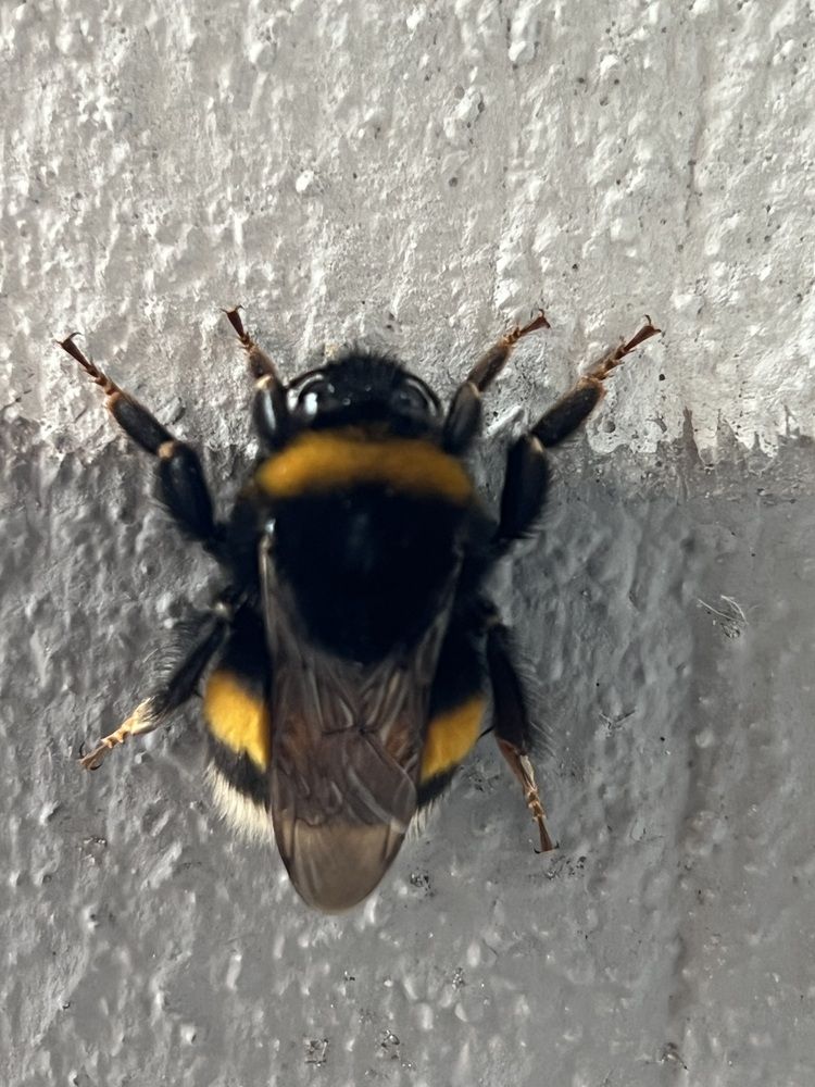 Photograph by Eugenia Schmidt