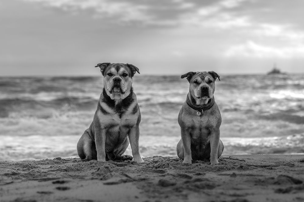 Photograph by Яна Карамышева