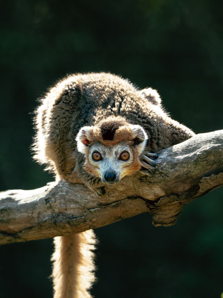 Photograph by Katherine Erlich