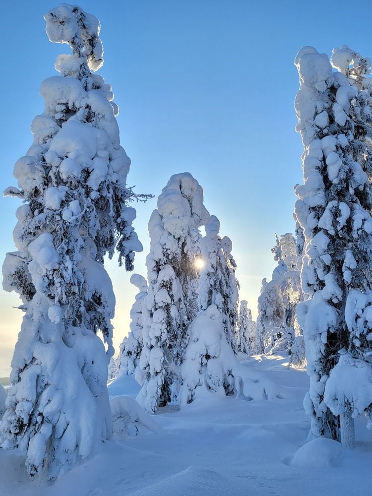 Photograph by Svetlana Hirvonen